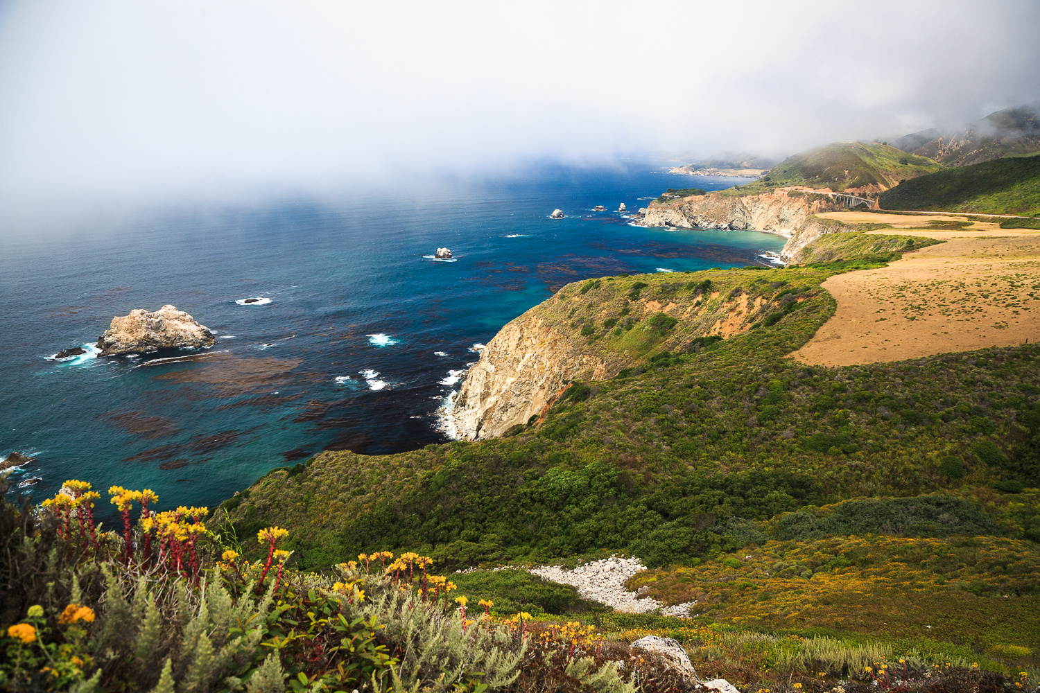 Big sur coast