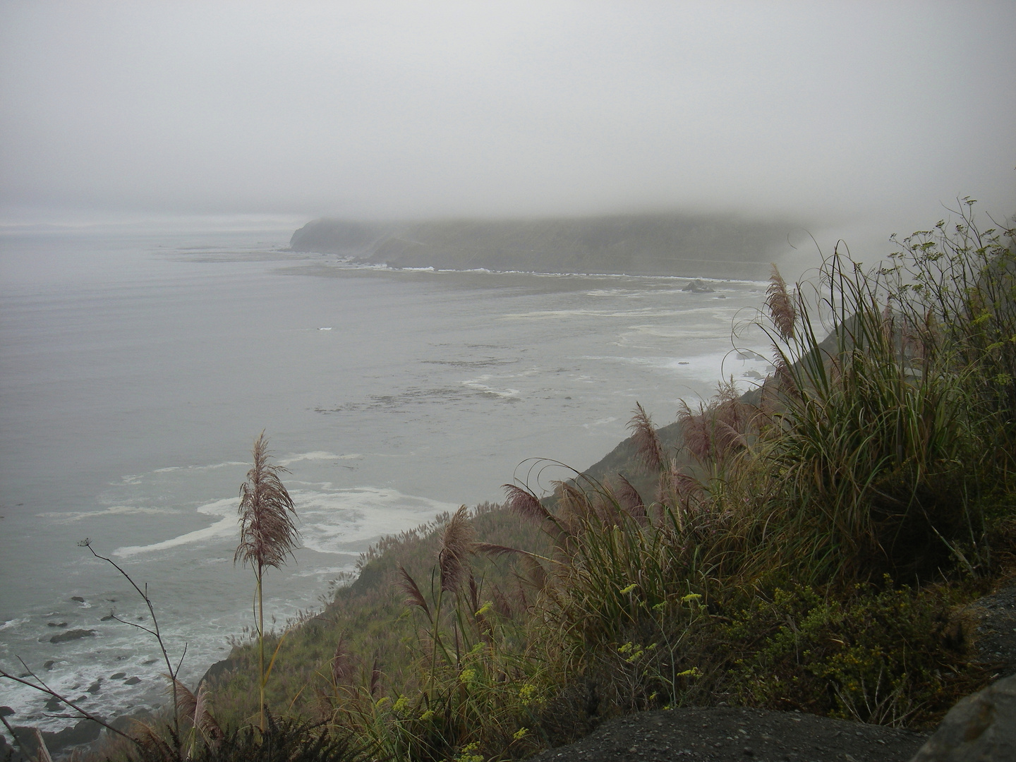 Big Sur im Nebel