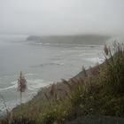 Big Sur im Nebel