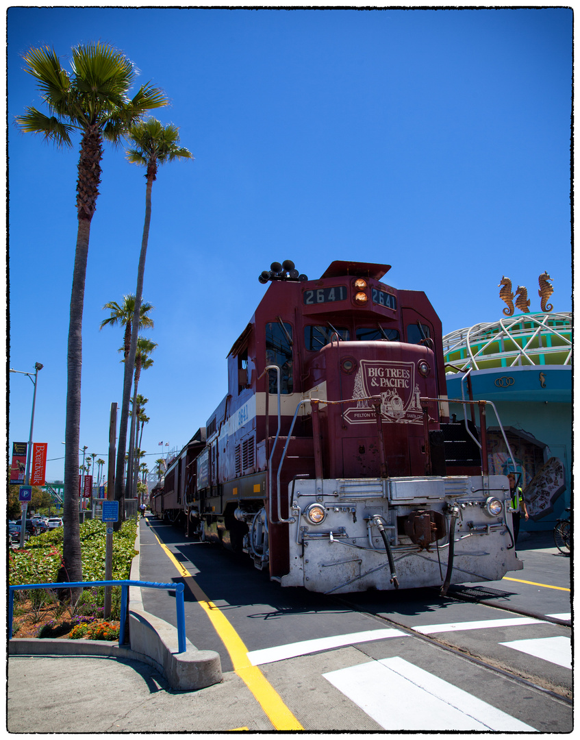 Big Trees & Pacific Railway