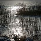 Big Twin Lake Shoreline 