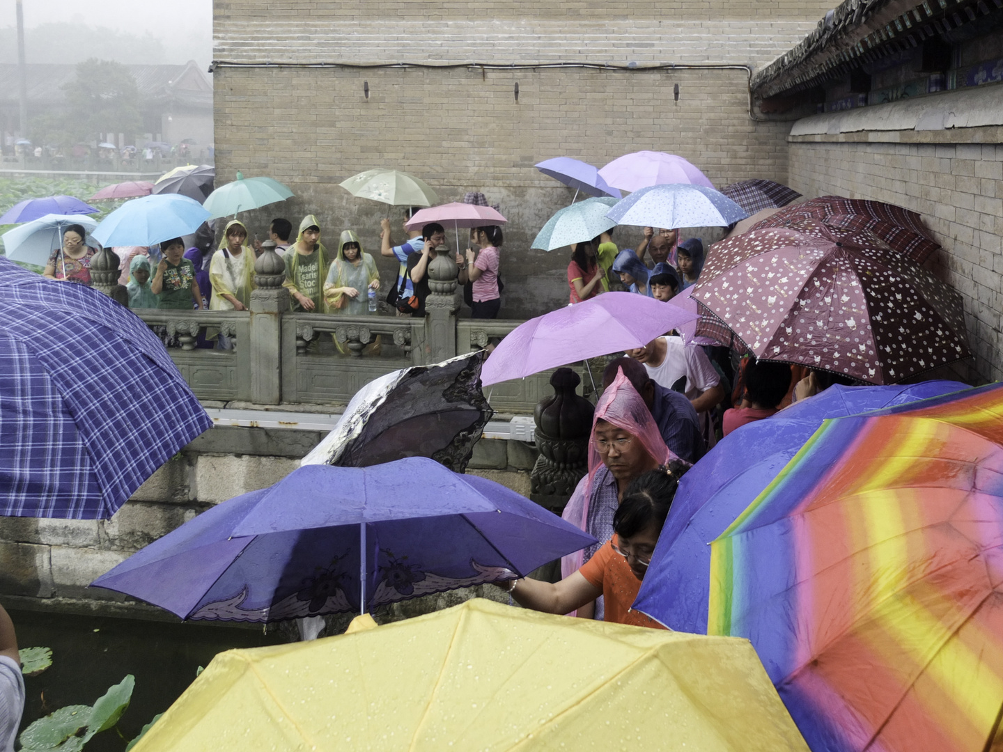 big umbrella meeting