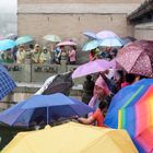 big umbrella meeting