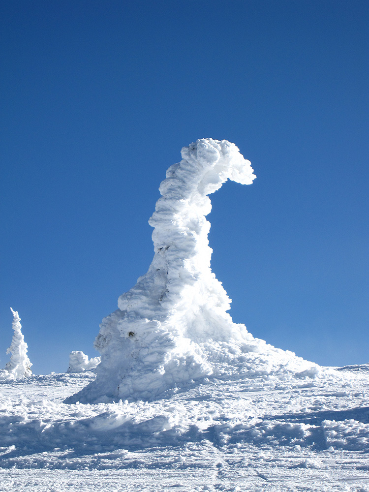 Big White, Canada -- Where even the trees are hungover...