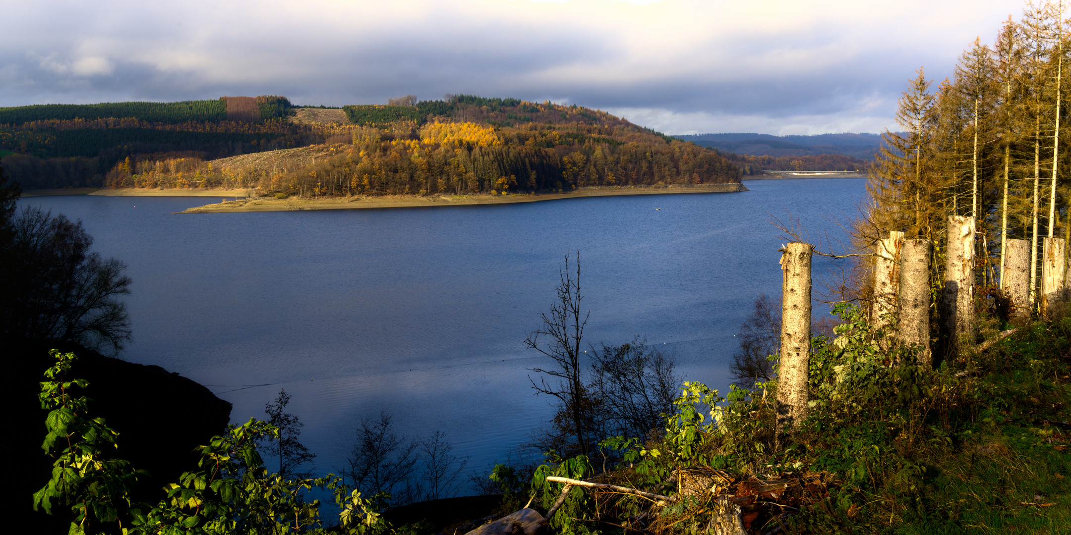 Biggestausee im Kalamitätenherbst