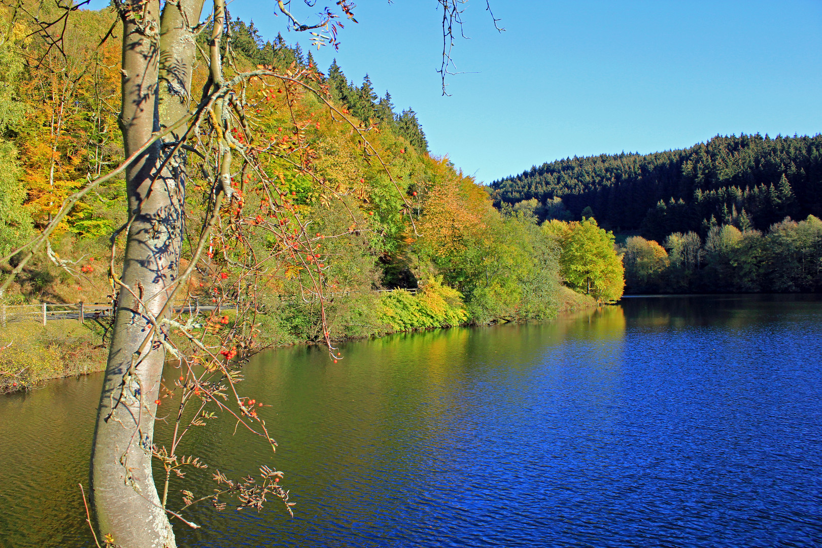 Biggetalsperre im Herbst 5