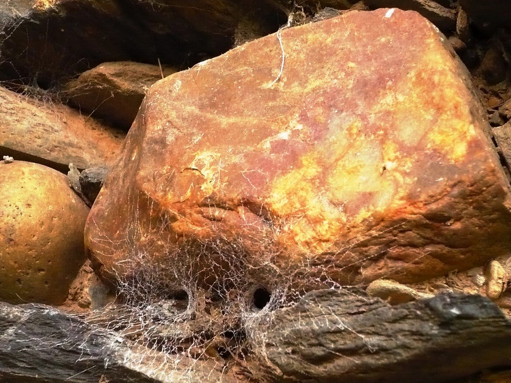 bigotes de piedra