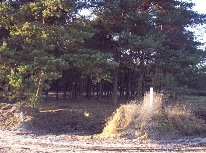 bij de heide