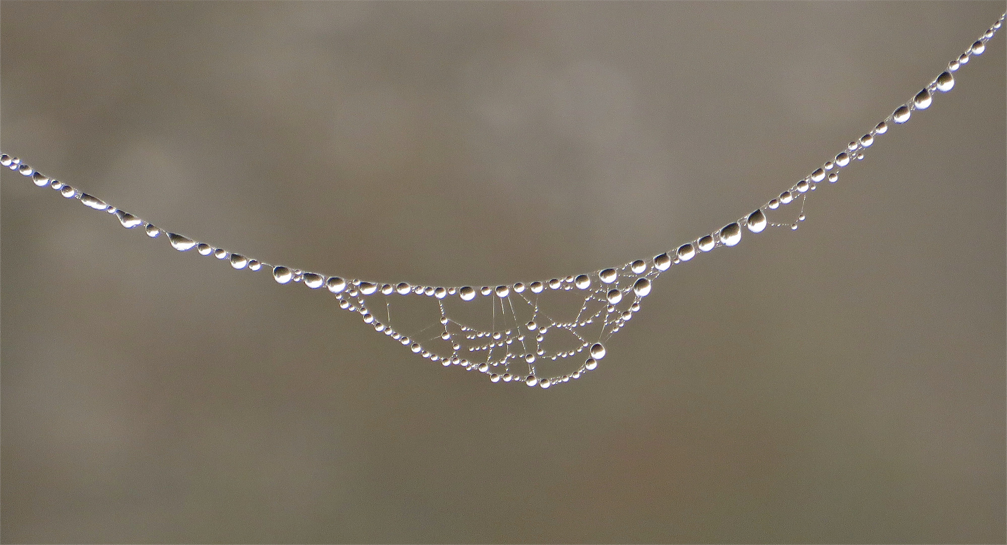 ... Bijoux - naturel !!!...