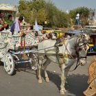 Bikaner 5, Volksfest