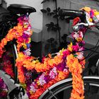 Bike and Flowers