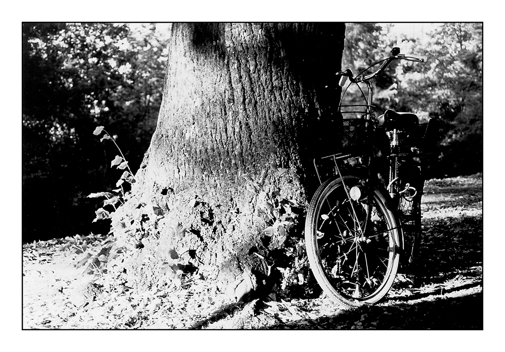 Bike Fascination #1