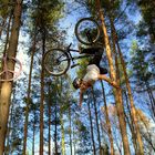 Bike Freestyle