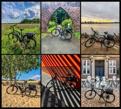 ** Bike impressions ** 