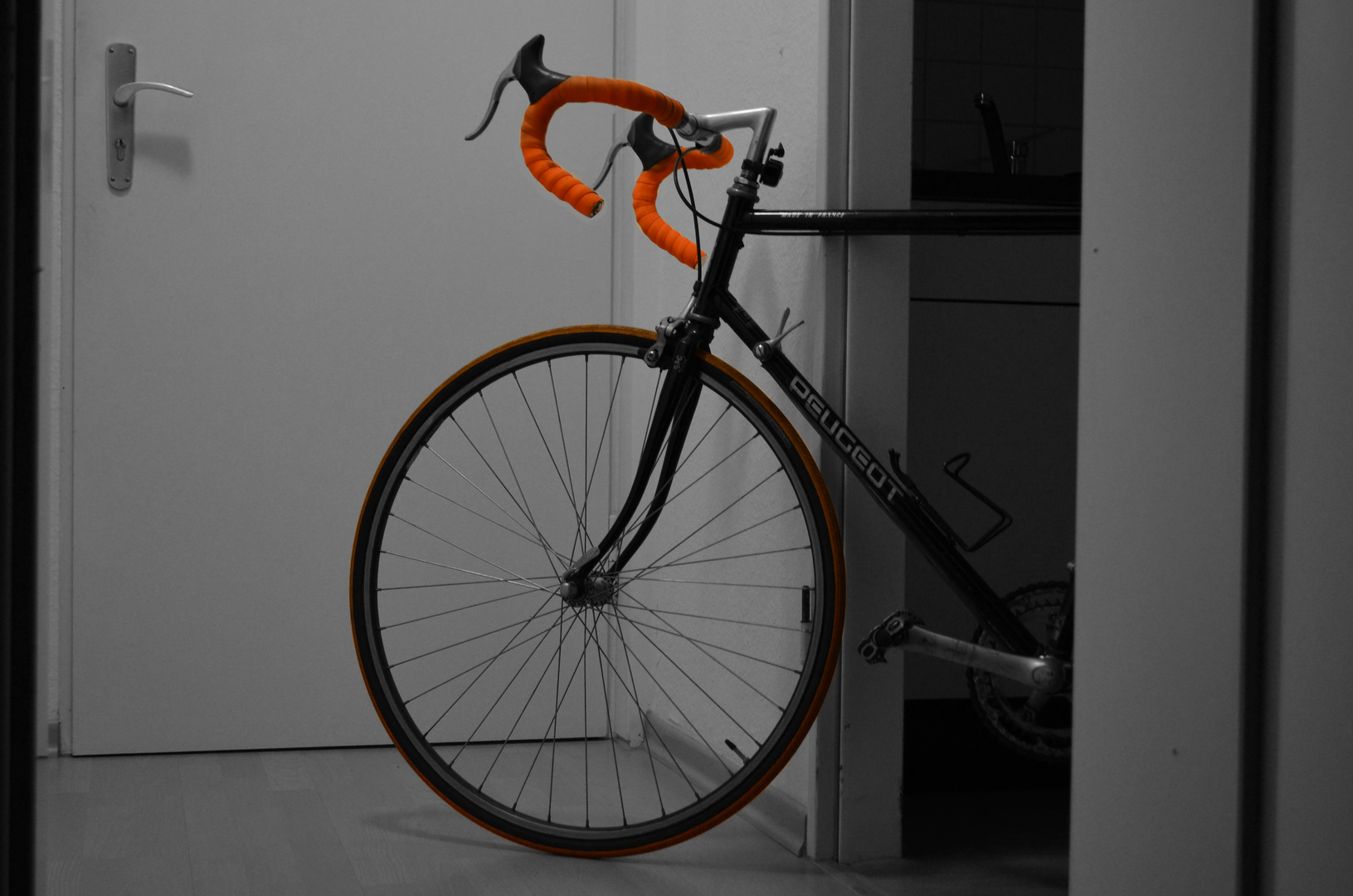 Bike in the Kitchen