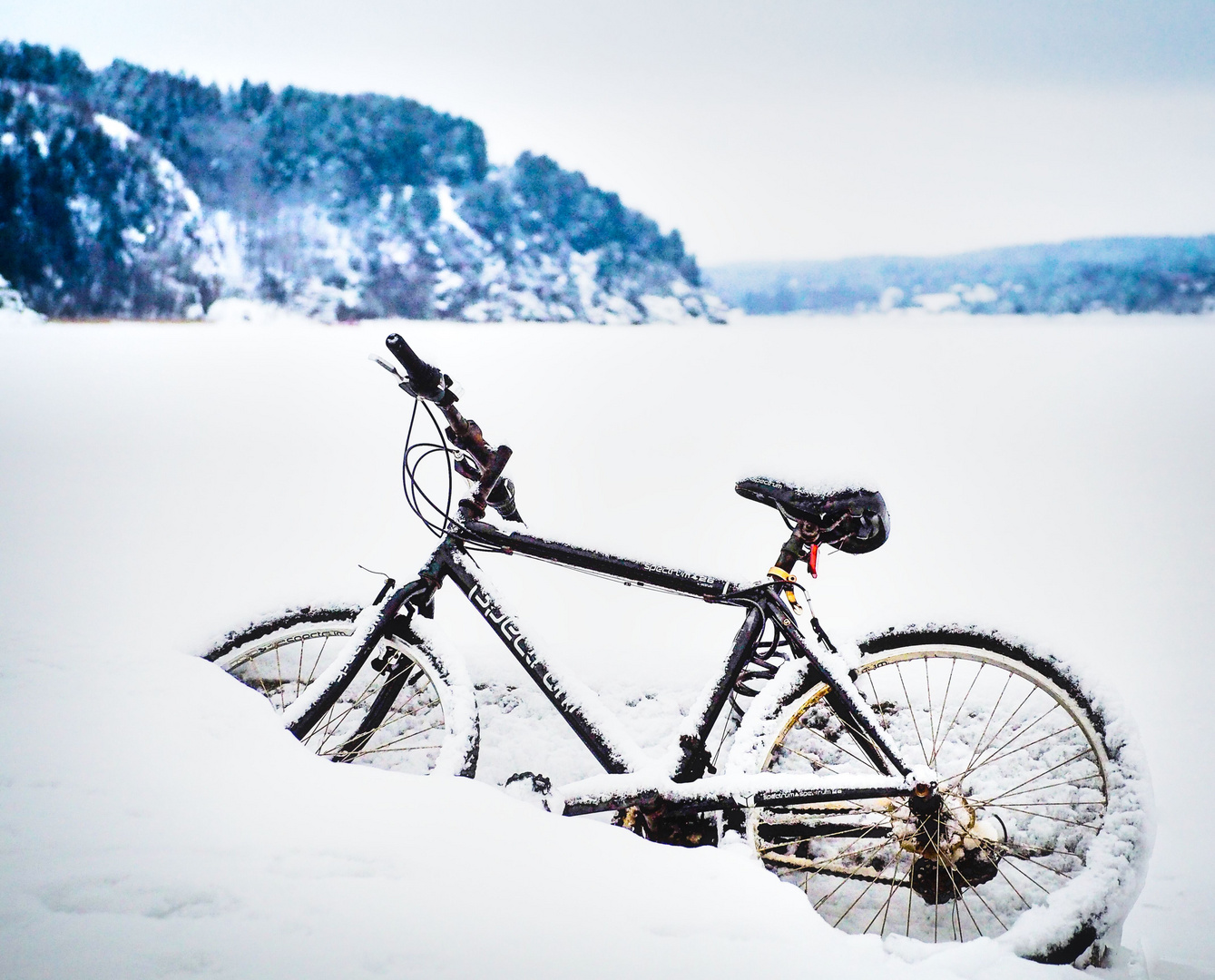 Bike in the snow