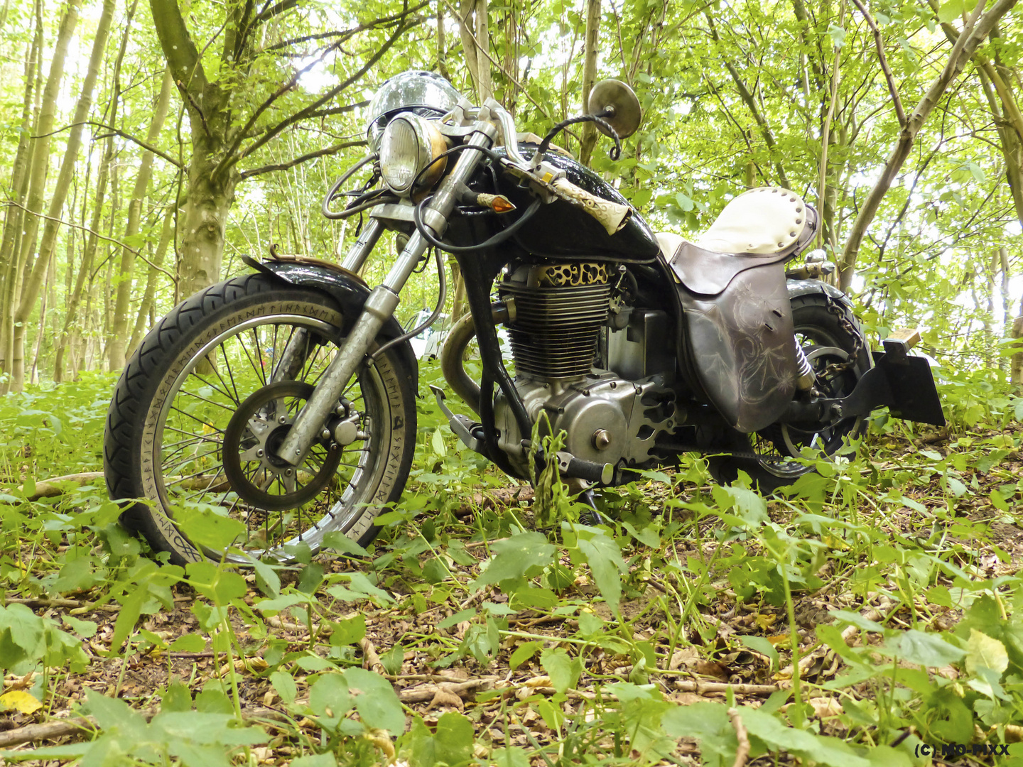 Bike in the Woods