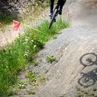 Bike - Mountainbike - Schatten