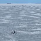 Bike on Ice