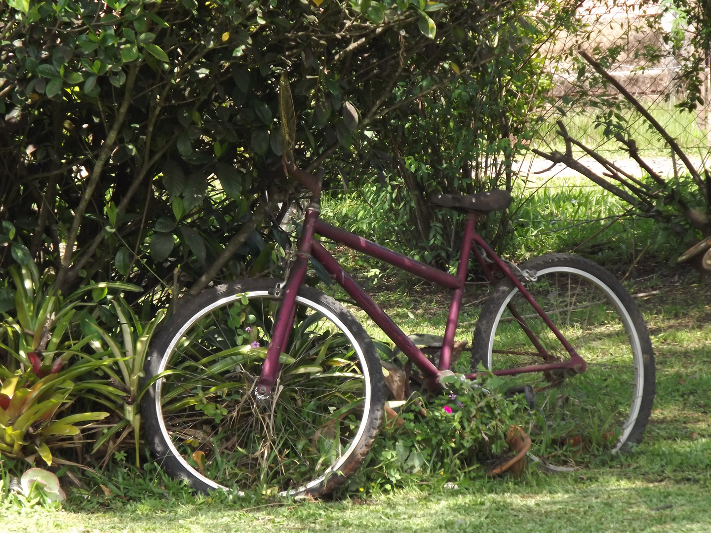 BIKE PARADA NA SOMBRA