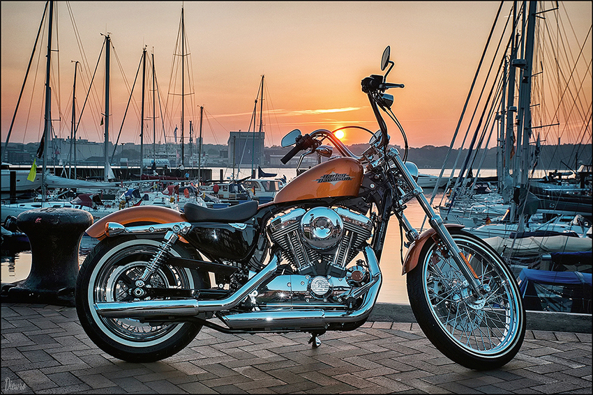 Bike Portrait bei untergehender Sonne