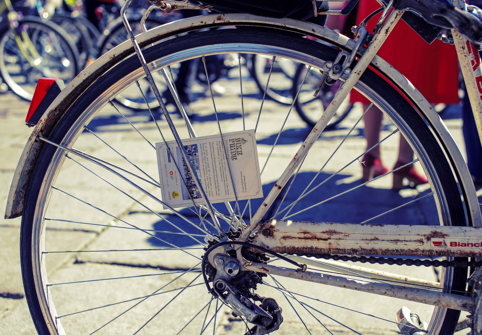 bike pride - torino maggio 2013