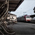 Bike & Rail