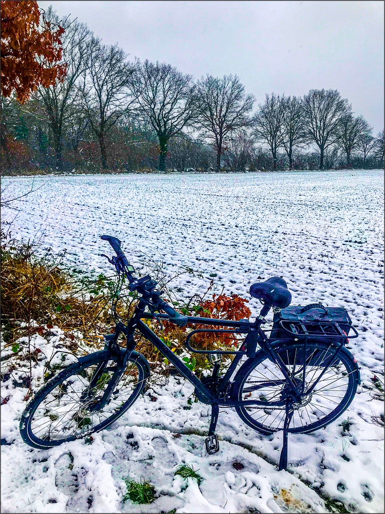 * Bike ride in the snow *