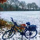 * Bike ride in the snow *