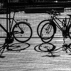 bike shadows