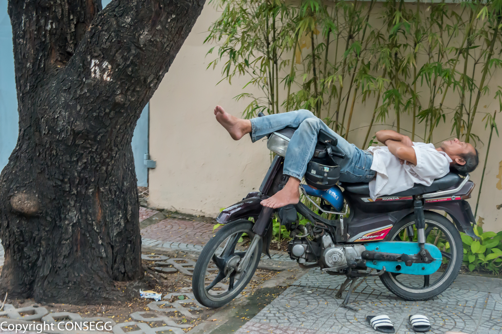 Bike-Sleeper