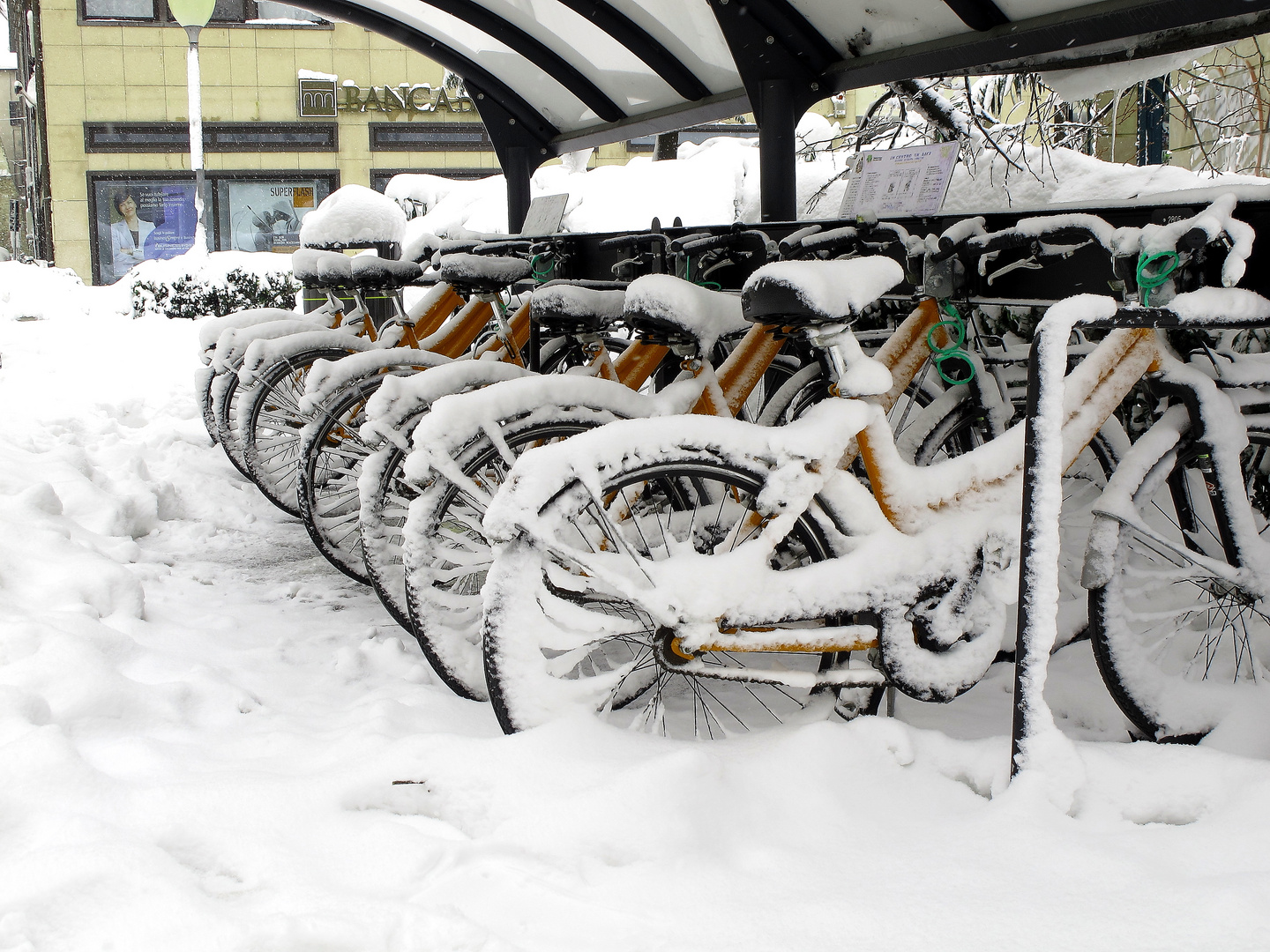 Bike & snow