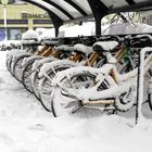 Bike & snow