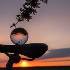 Bike, Sunset, Glas