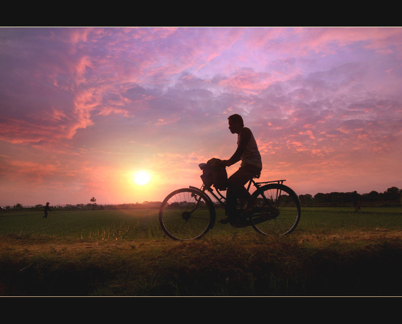 Bike to work