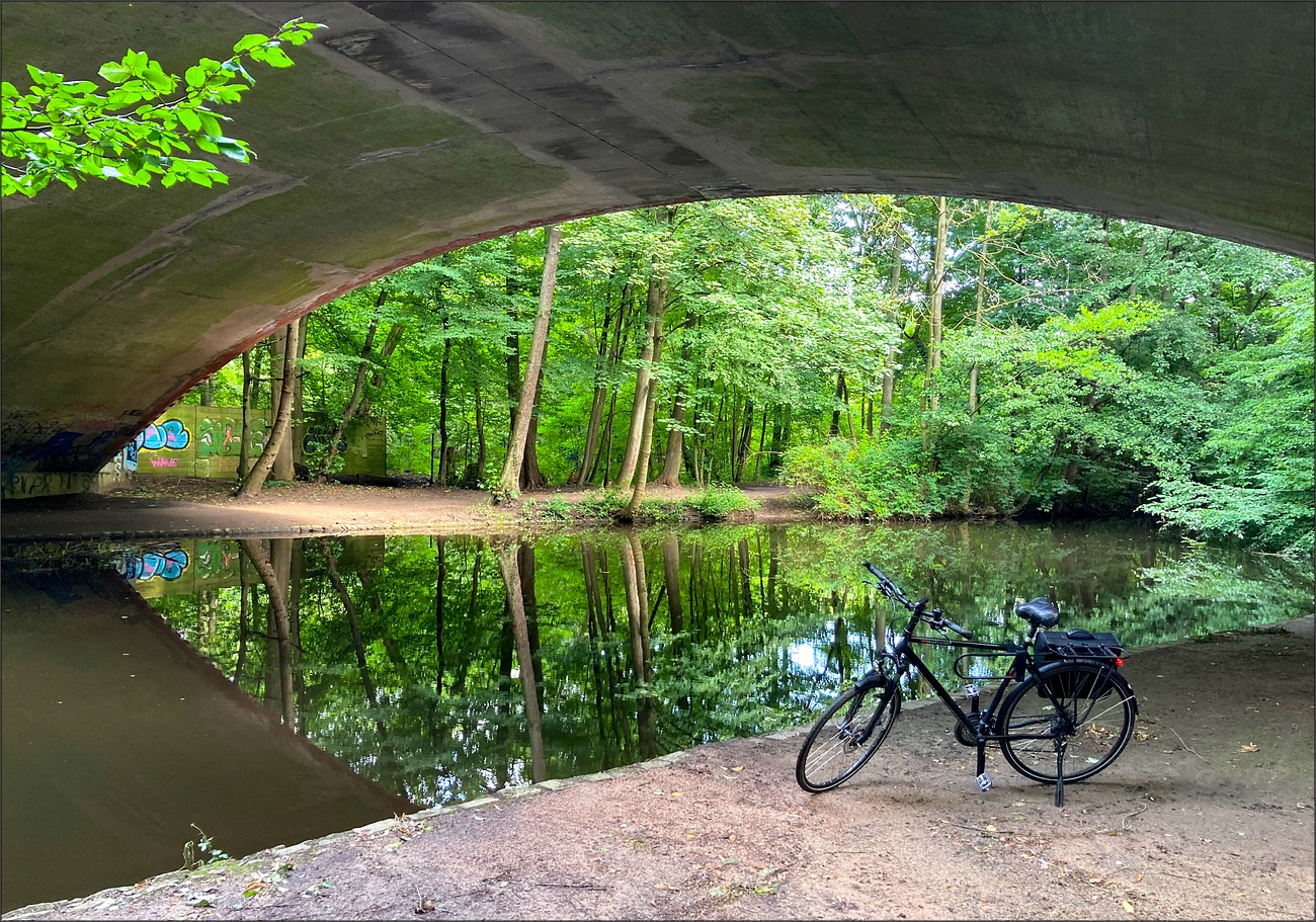 * Bike tour °