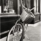 Bike with Basket on a Blustery Day - An Annapolis Impression