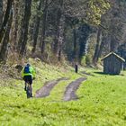 Biken im Frühling