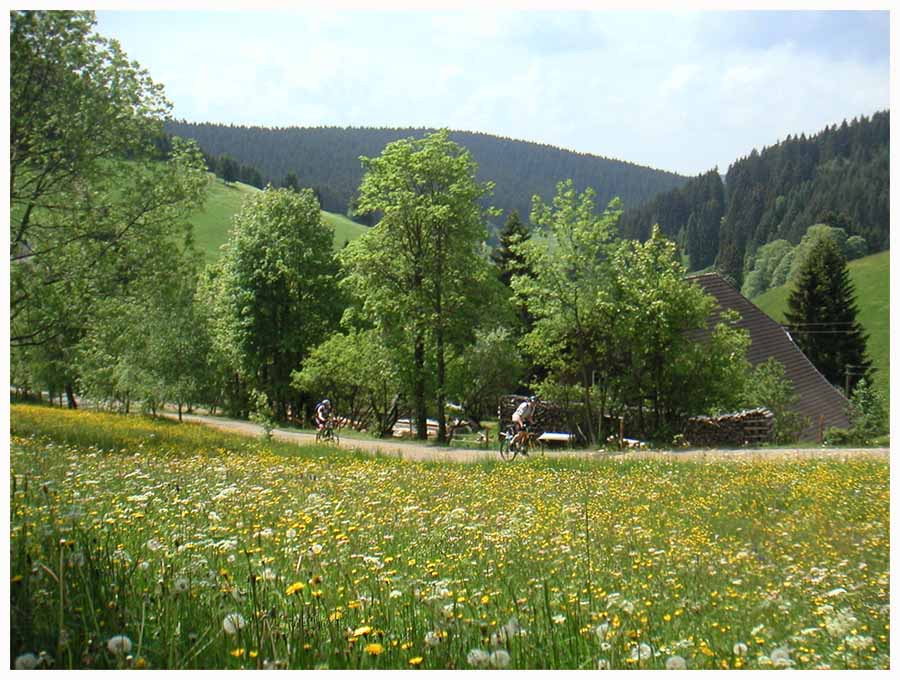 Biken im Schwarzwald