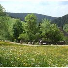 Biken im Schwarzwald