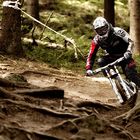 Bikepark Bad Wildbad 3