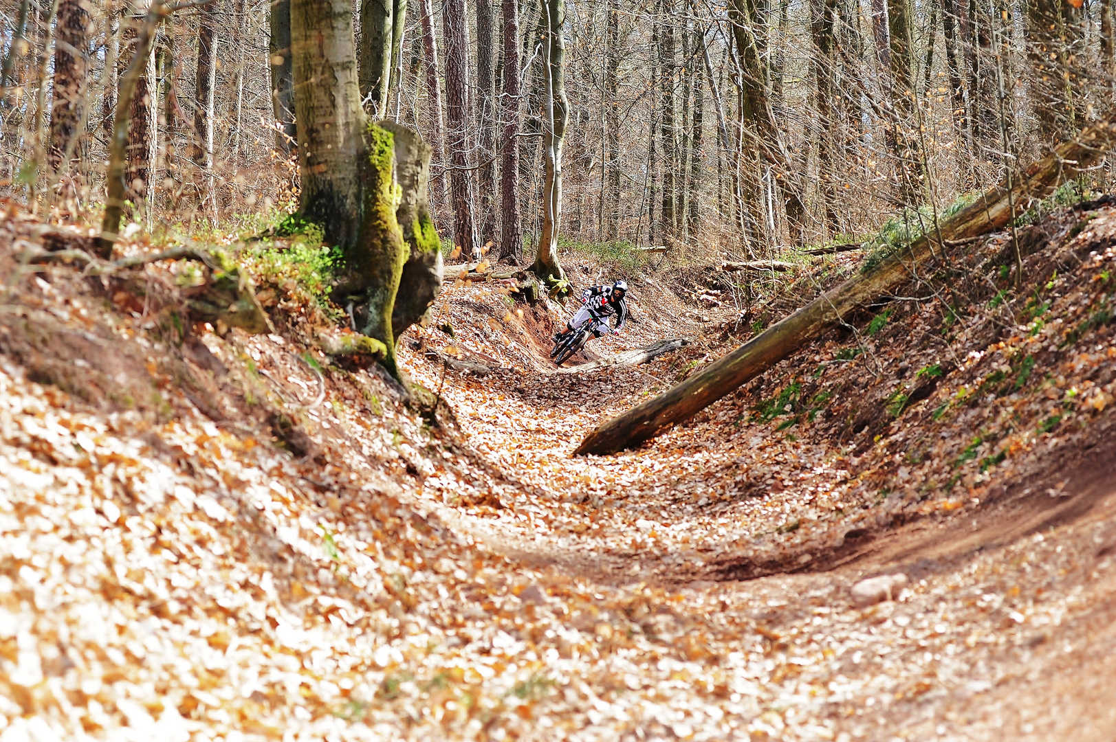 Bikepark Beerfelden 04.04