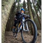 Biker im Wald 3