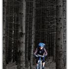 Biker im Wald