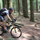 Biker im Wald