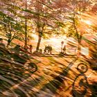 Biker mit Abendsonne