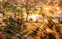 Biker mit Abendsonne