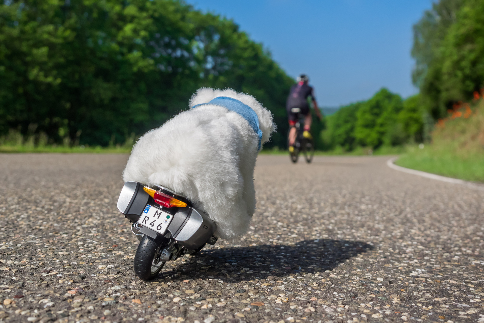 Biker on Tour