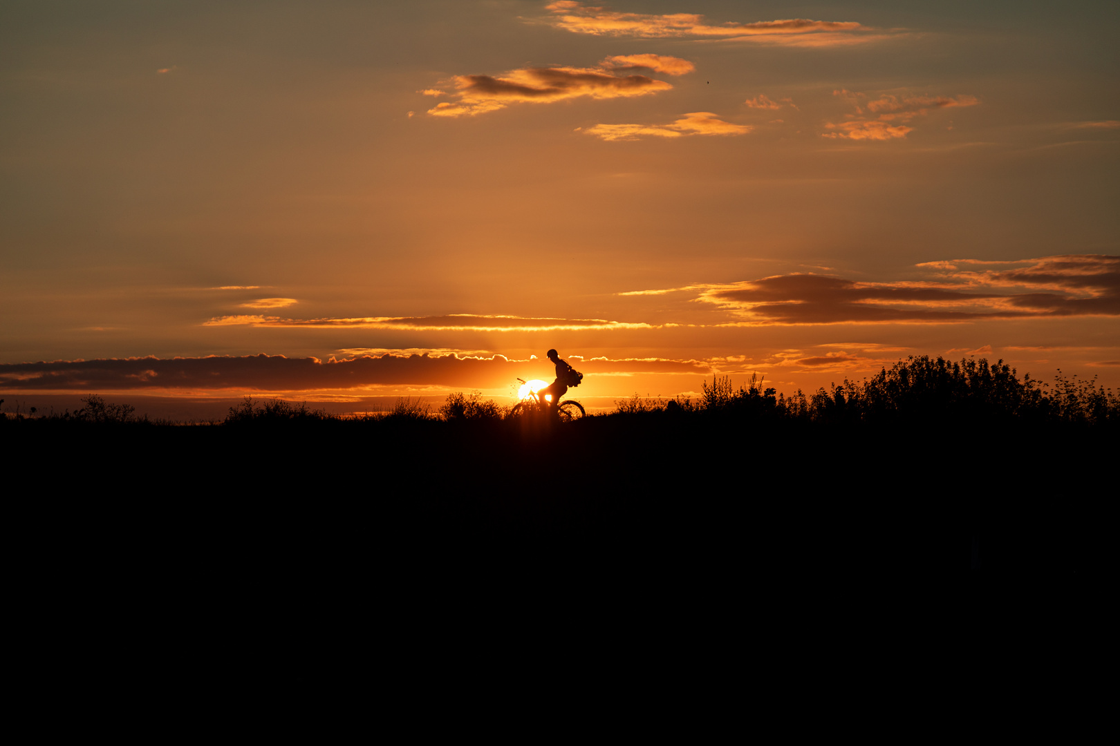 Biker Silhouette