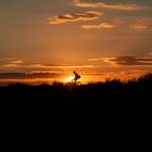 Biker Silhouette